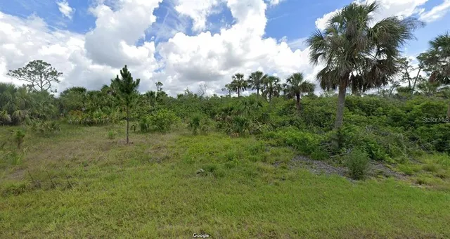a view of a big yard with plants and a bench