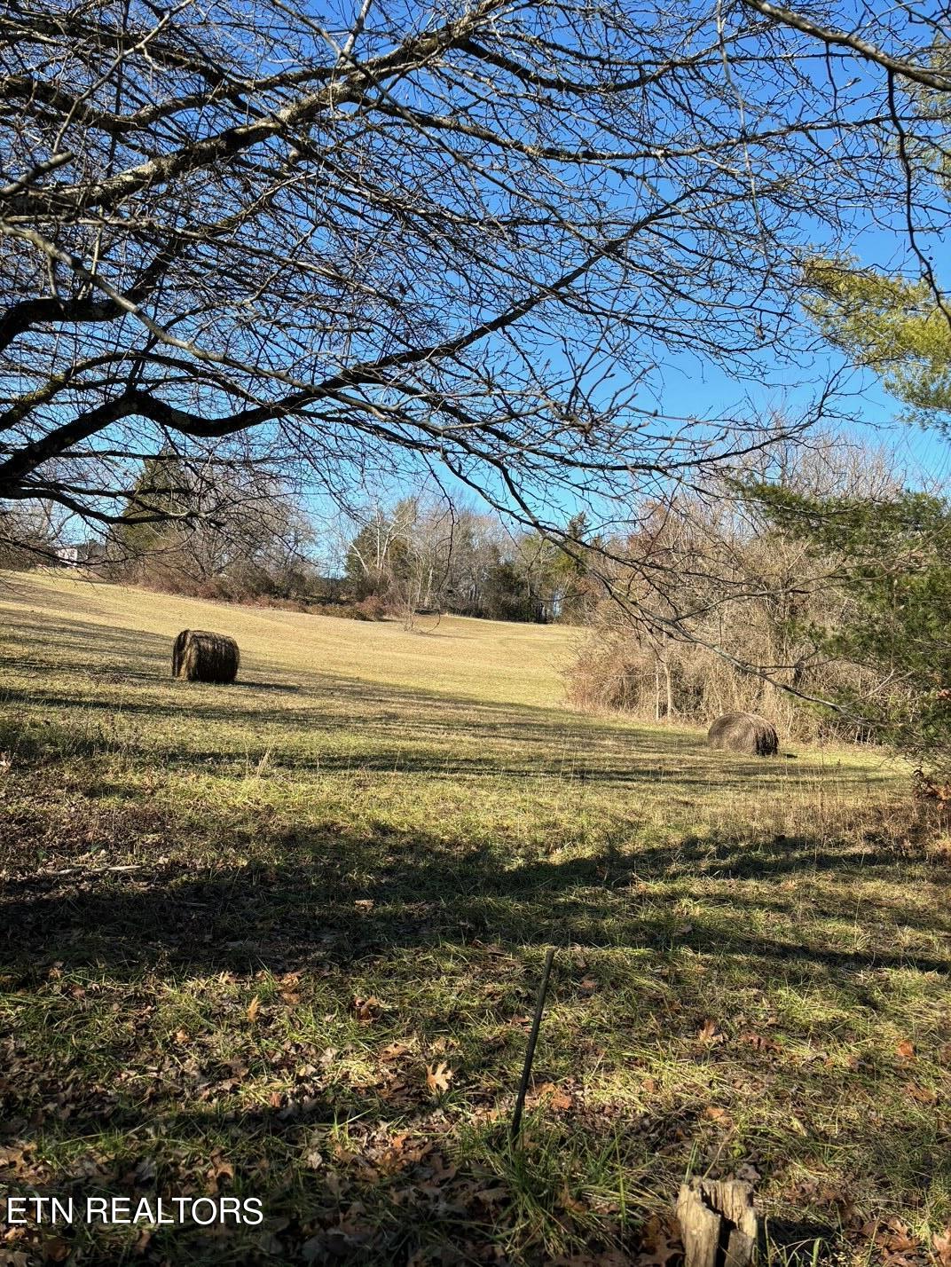 5311 Dearing Road Morristown, TN 37813 - Photo 5 of 5 IMG_6438