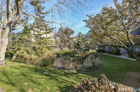 a view of a garden