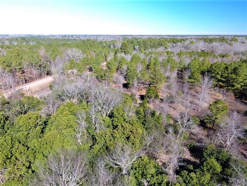0 McLaurin Road Wedgefield, SC 29168 - Photo 12 of 15 Gallery Image 12