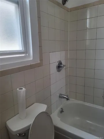 a bathroom with a toilet and a bathtub