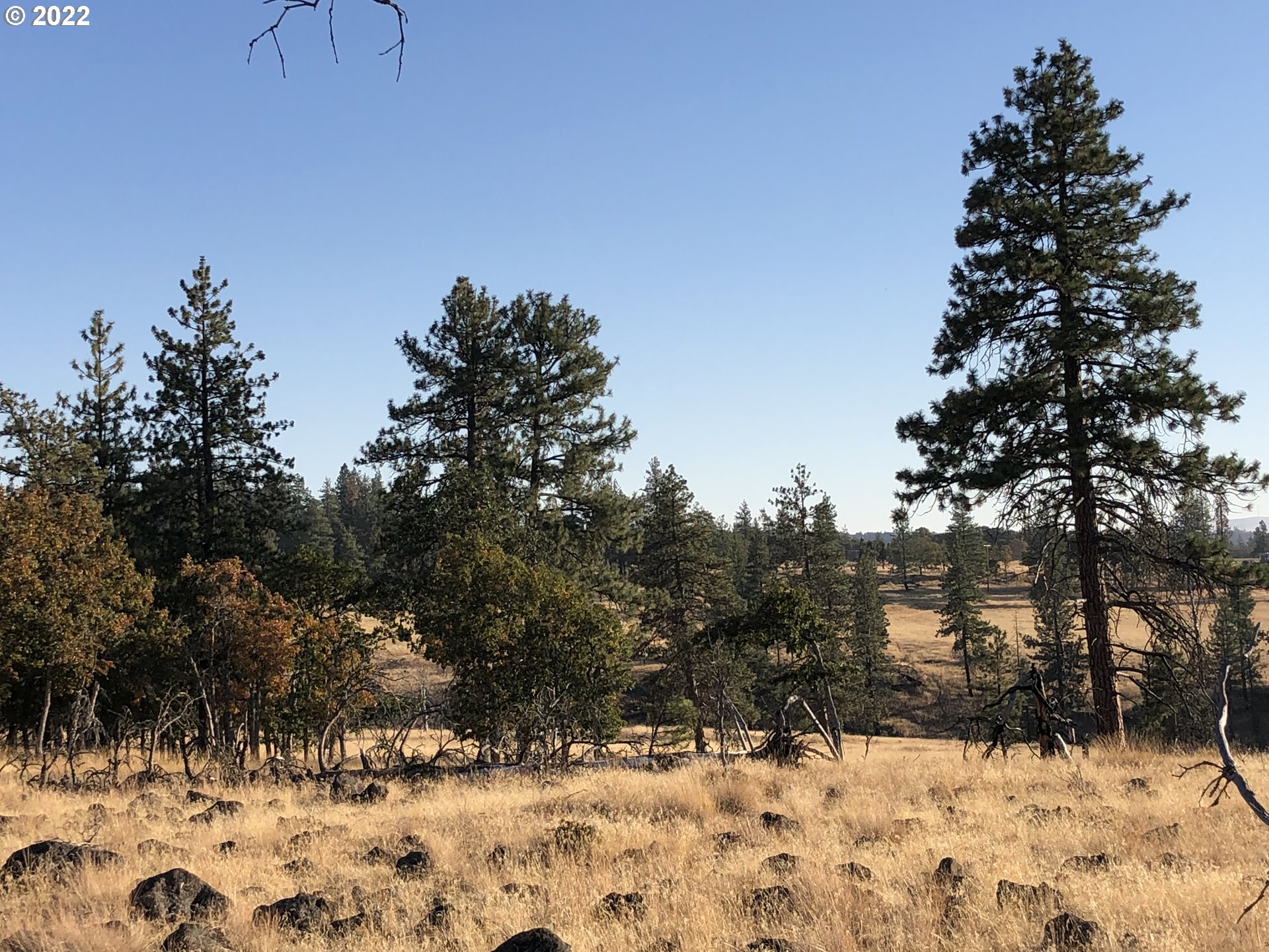 3 England Goldendale, WA 98620 - Photo 4 of 6 Gallery Image 4