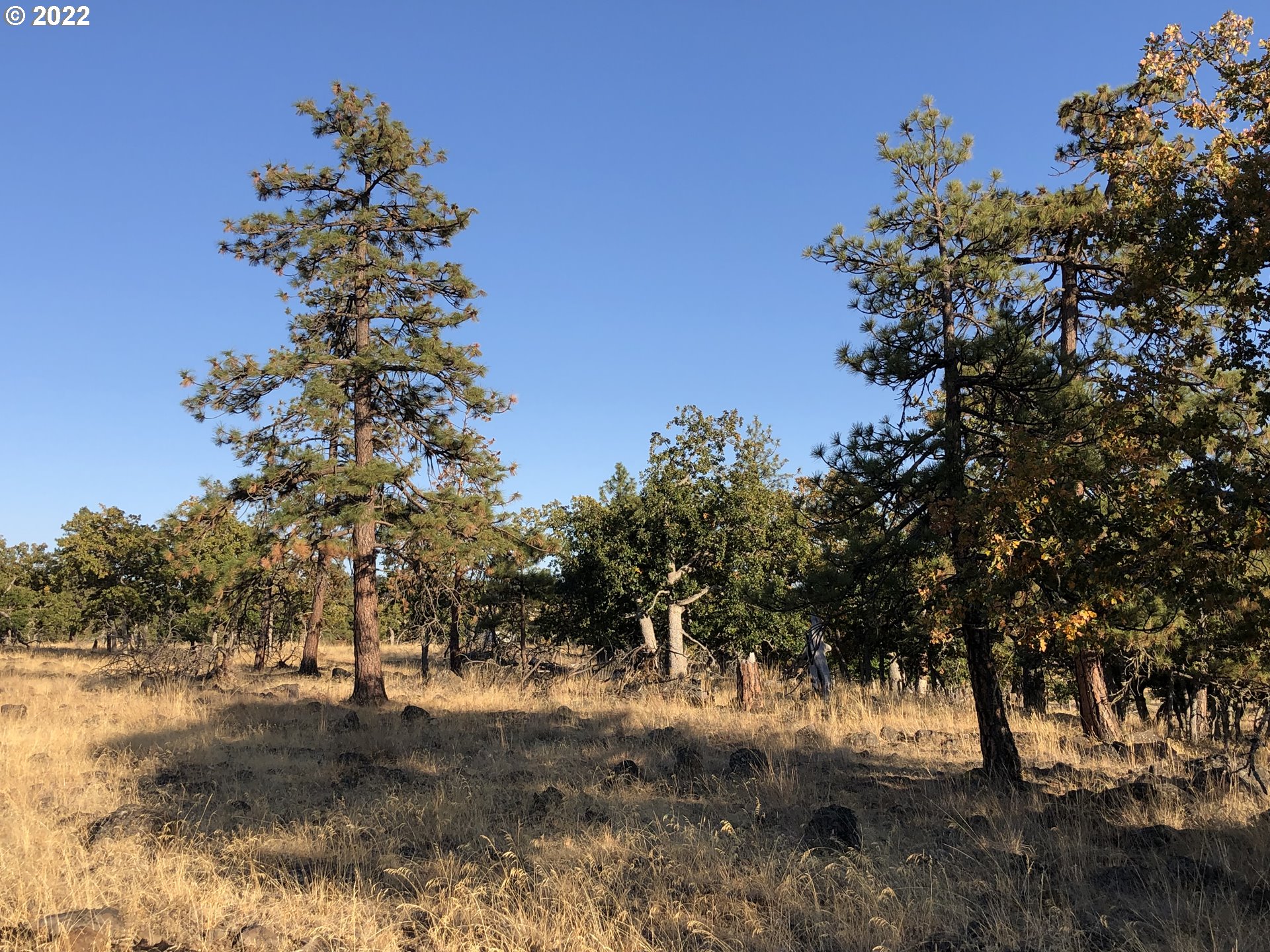 3 England Goldendale, WA 98620 - Photo 6 of 6 Gallery Image 6