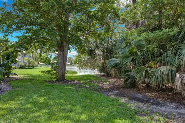 a view of a yard with a tree