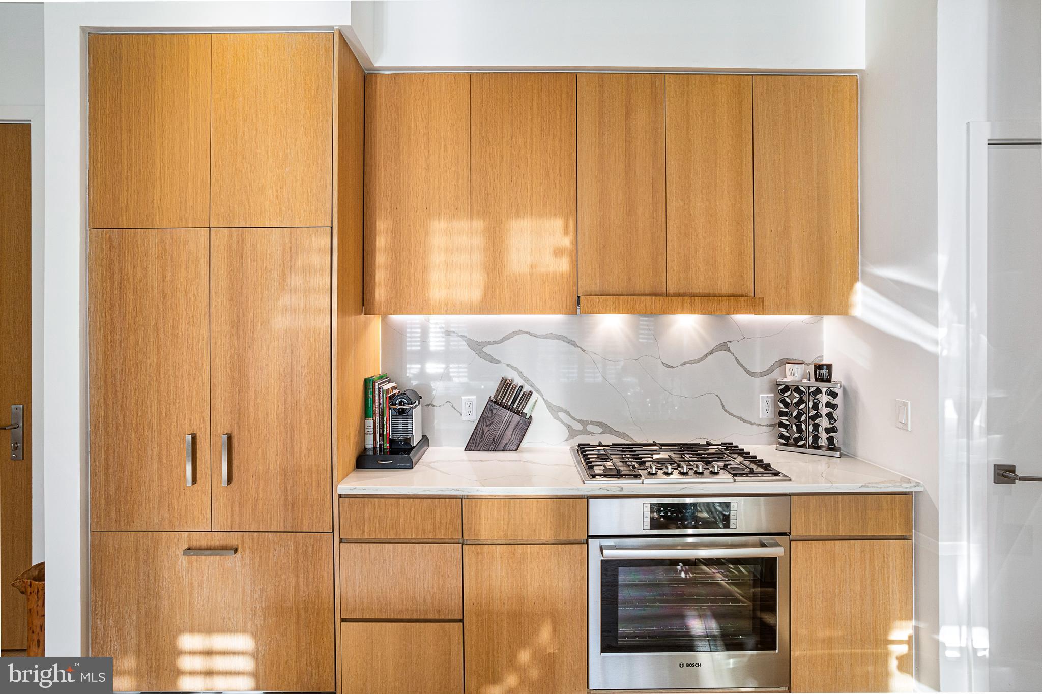 1324 E Street Southeast, Unit 208 Washington, DC 20003 - Photo 17 of 40 Calacatta Quartz Full Height Backsplash