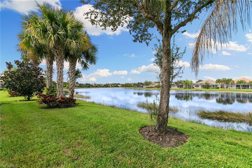8407 Benelli Court Naples, FL 34114 - Photo 33 of 50 a view of a lake with a big yard and palm trees
