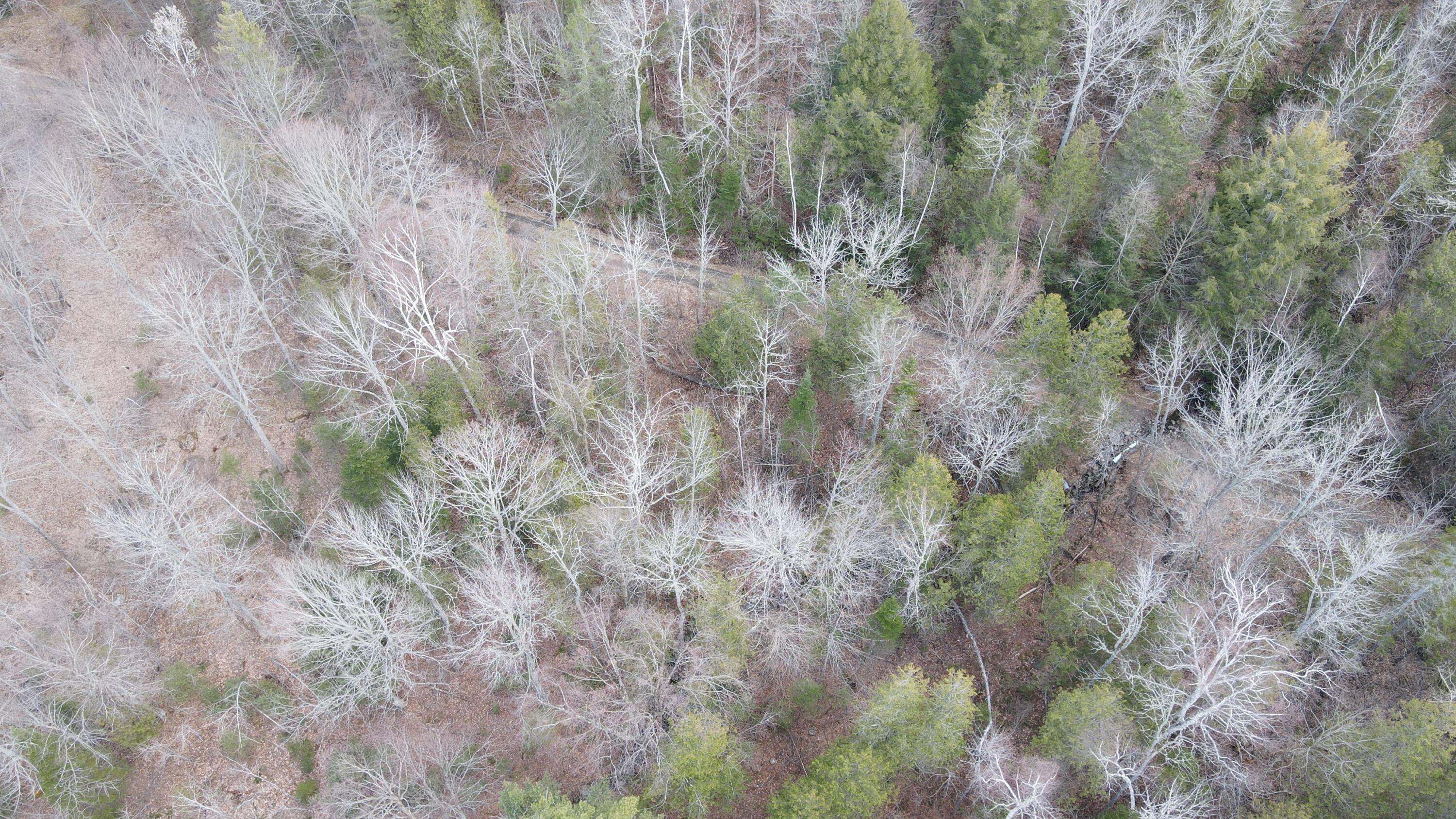 133 Rider Bluff Road Holden, ME 04429 - Photo 19 of 24 DJI_0252