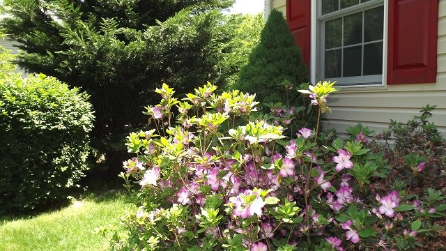 31 Pinehurst Road Palmyra, VA 22963 - Photo 3 of 34 Gallery Image 3