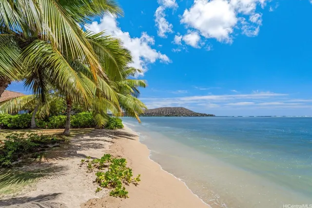 a view of a yard with a house