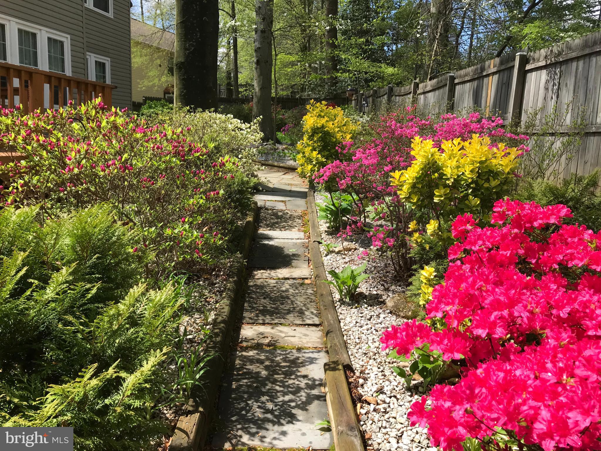 9451 Lapstrake Lane Burke, VA 22015 - Photo 55 of 59 Spring blooms