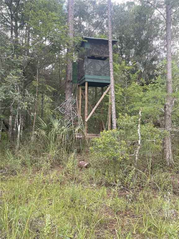 0 Southwest County Road 347 Cedar Key, FL 32625 - Photo 12 of 31 a green field with trees in the background