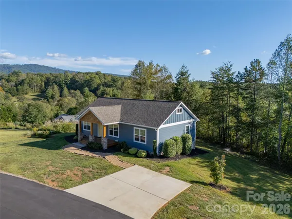 a aerial view of a house with a big yard plants and large trees