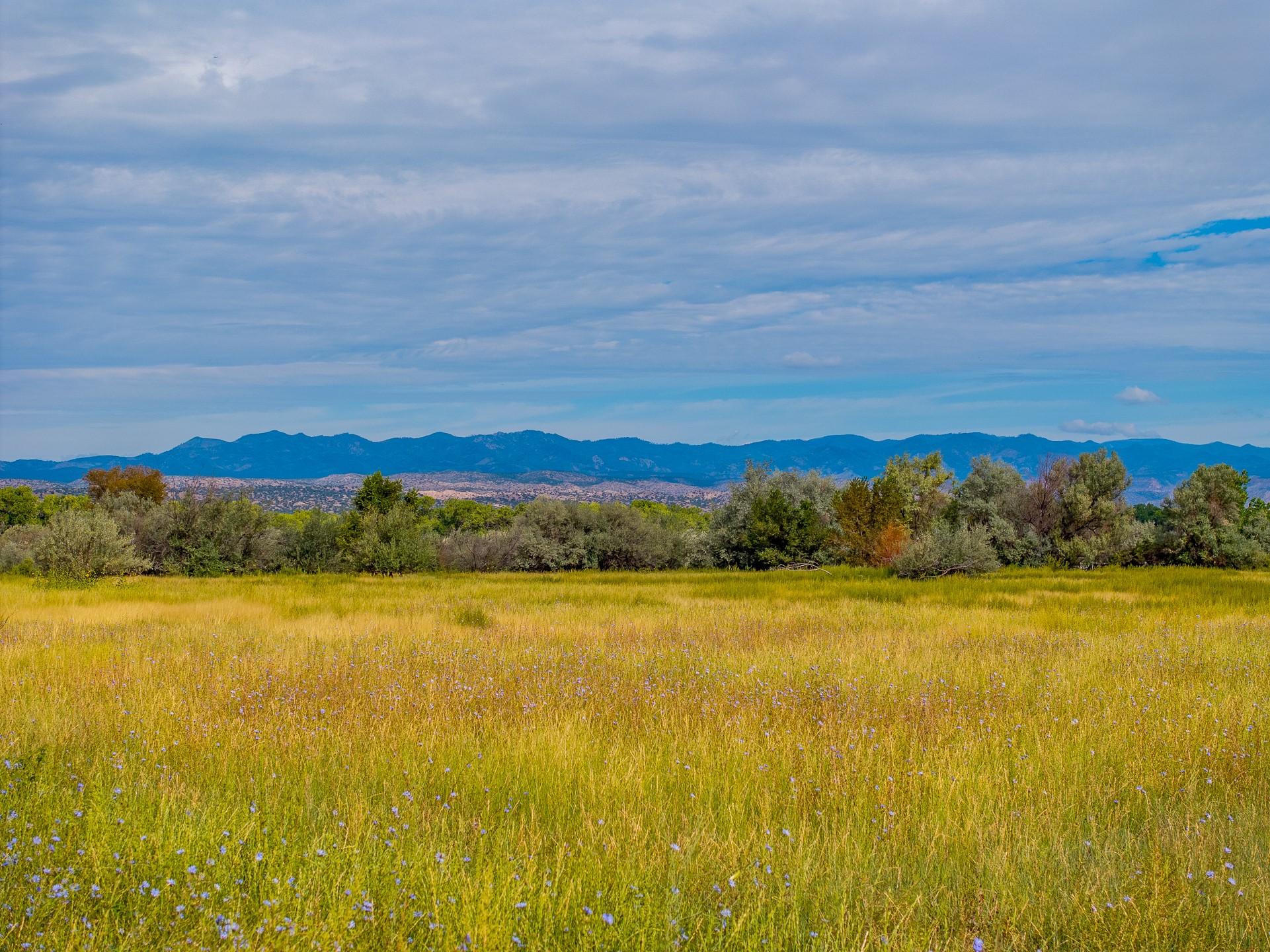 12 Sparkling Moolah Road Pena Blanca, NM 87041 - Photo 23 of 24