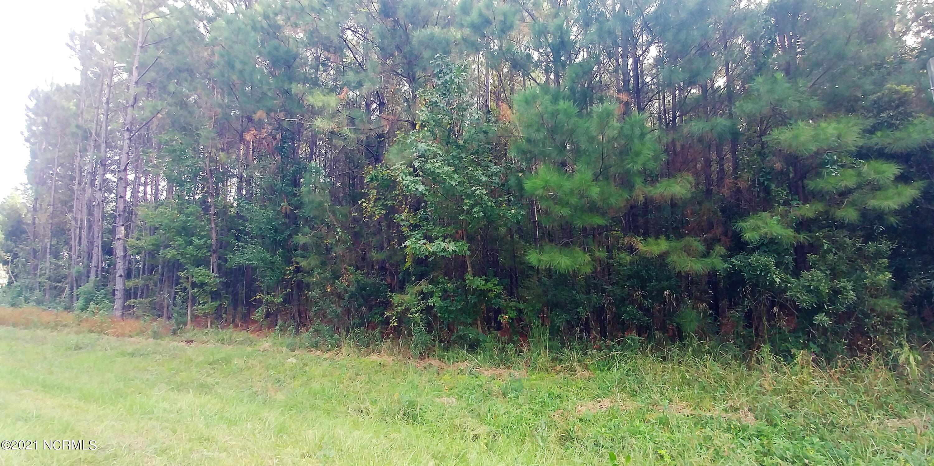 410 Pine Cliff Road Havelock, NC 28532 - Photo 6 of 6 1022210954b