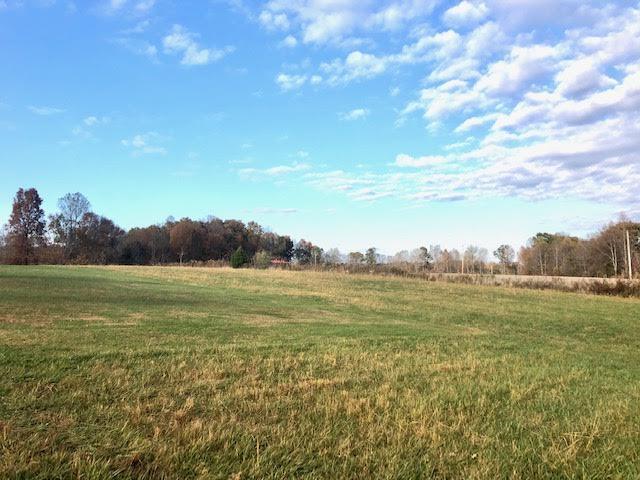 5125 Pointer Creek Road Nancy, KY 42544 - Photo 7 of 23 0-7