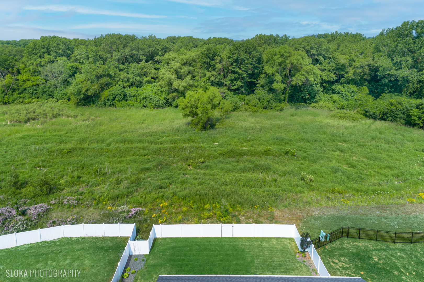 164 North Barry Road South Elgin, IL 60177 - Photo 54 of 59 Gallery Image 54