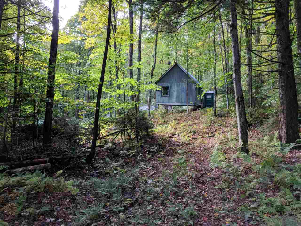 0 Old Mail Rte Road Roxbury, VT 05669 - Photo 1 of 21