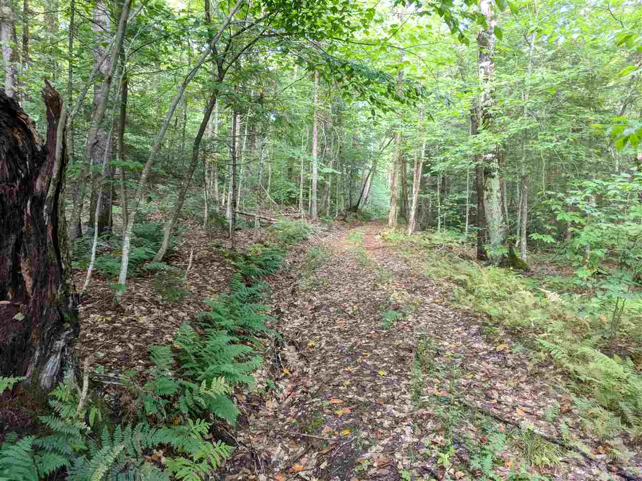 0 Old Mail Rte Road Roxbury, VT 05669 - Photo 20 of 21
