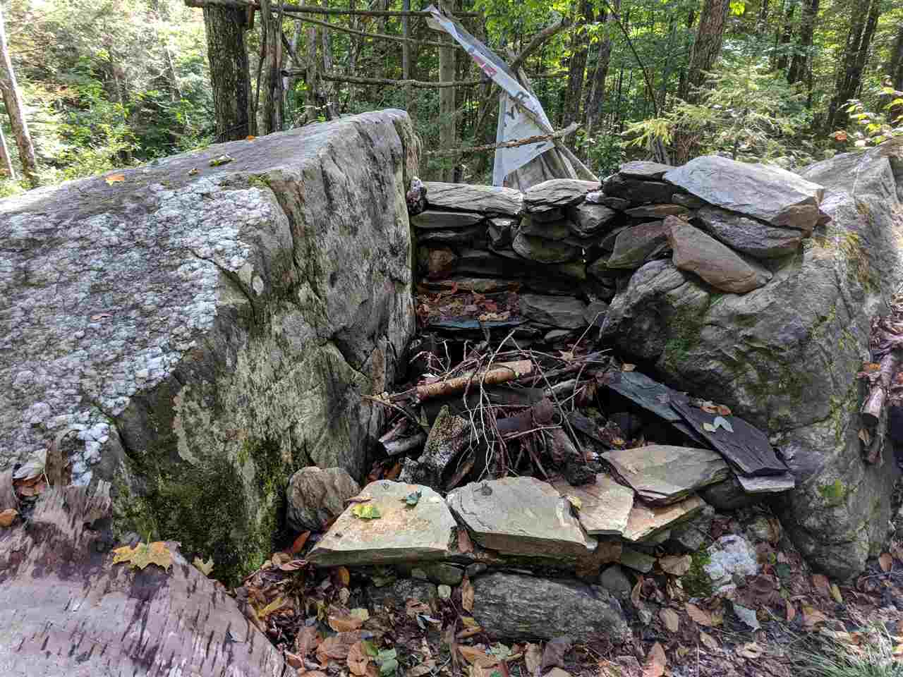 0 Old Mail Rte Road Roxbury, VT 05669 - Photo 3 of 21