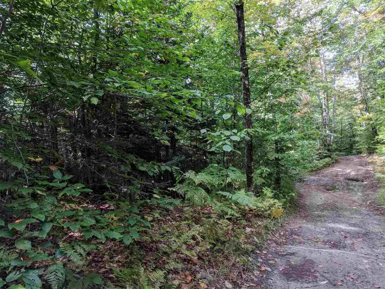 0 Old Mail Rte Road Roxbury, VT 05669 - Photo 10 of 21