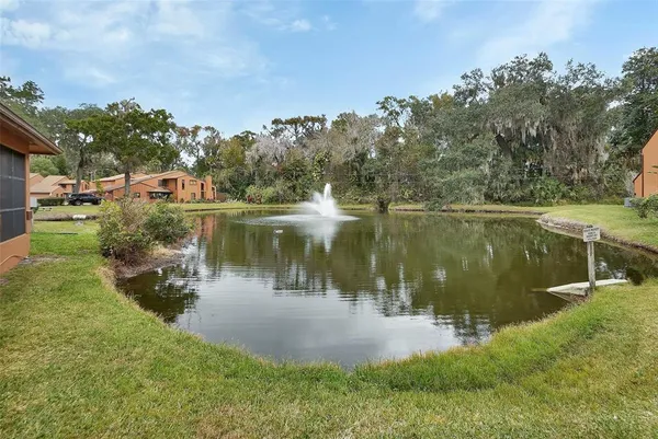a body of water with a tree in the background