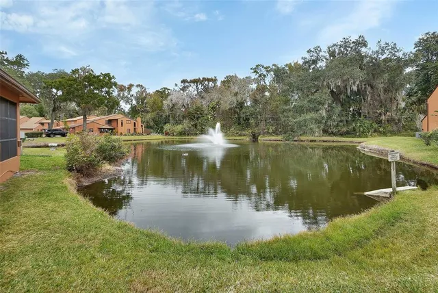 a body of water with a tree in the background