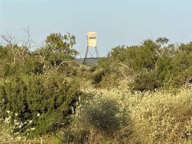 $3,568,000 | 2976 Lower Willow Creek Road, Mason, TX 76856