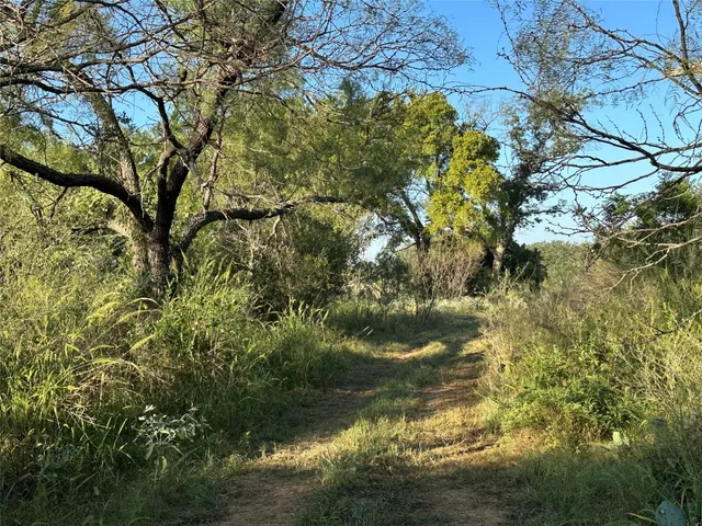 $3,568,000 | 2976 Lower Willow Creek Road, Mason, TX 76856