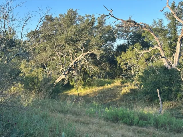 $3,568,000 | 2976 Lower Willow Creek Road, Mason, TX 76856