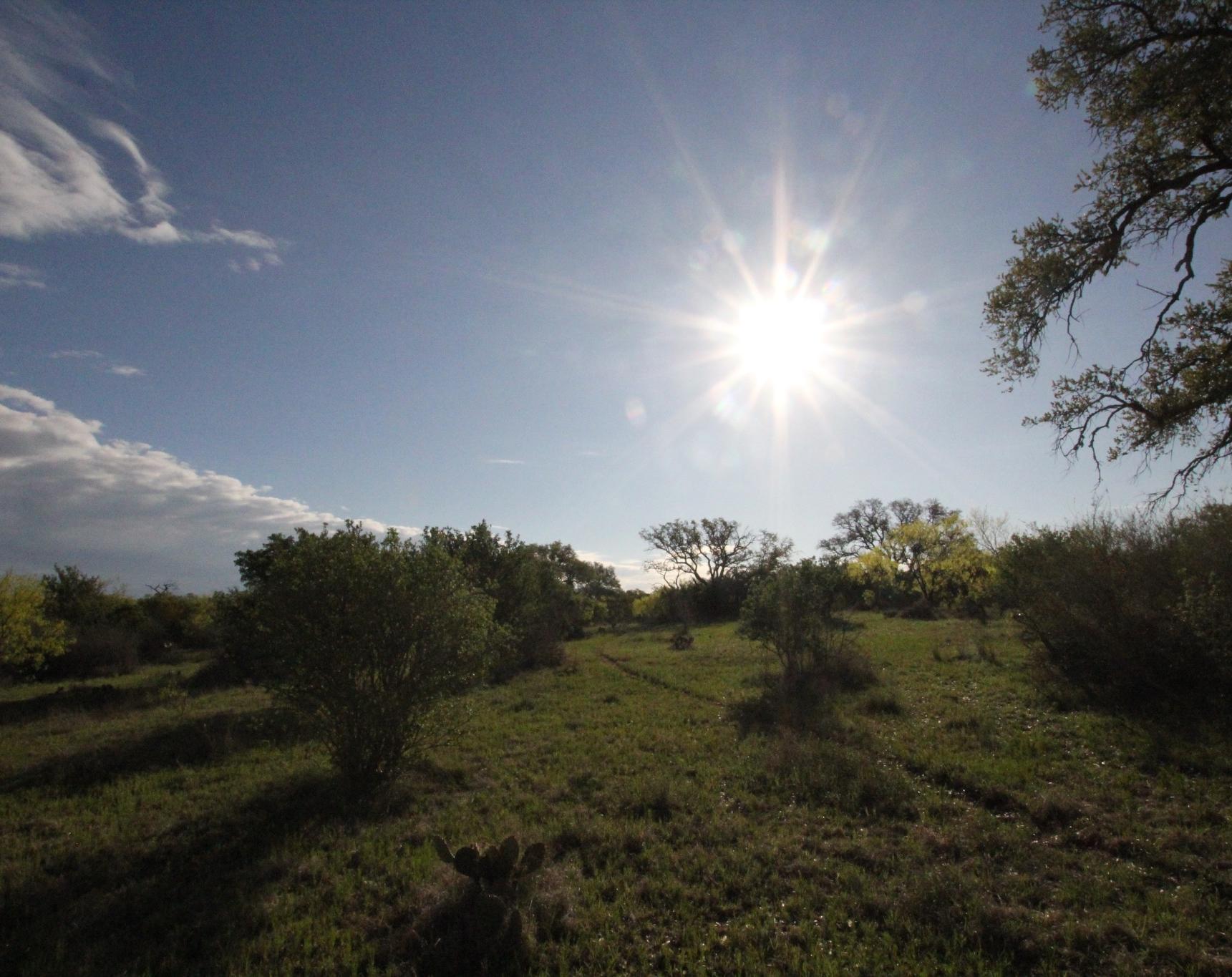 2976 Lower Willow Creek Road Mason, TX 76856 - Photo 16 of 27 Expansive open land featuring natural grasses, scattered trees, and shrubs
