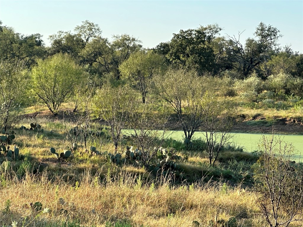 2976 Lower Willow Creek Road Mason, TX 76856 - Photo 17 of 22