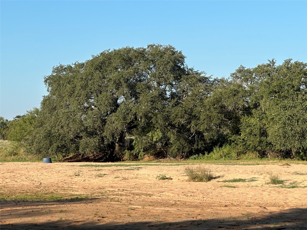 2976 Lower Willow Creek Road Mason, TX 76856 - Photo 19 of 22