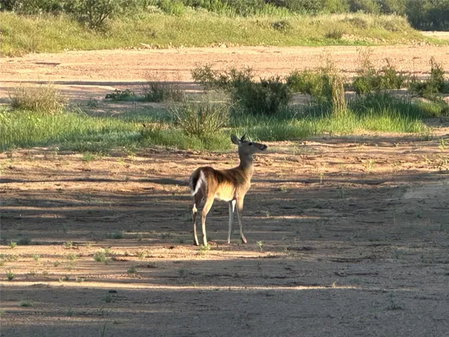 $3,568,000 | 2976 Lower Willow Creek Road, Mason, TX 76856