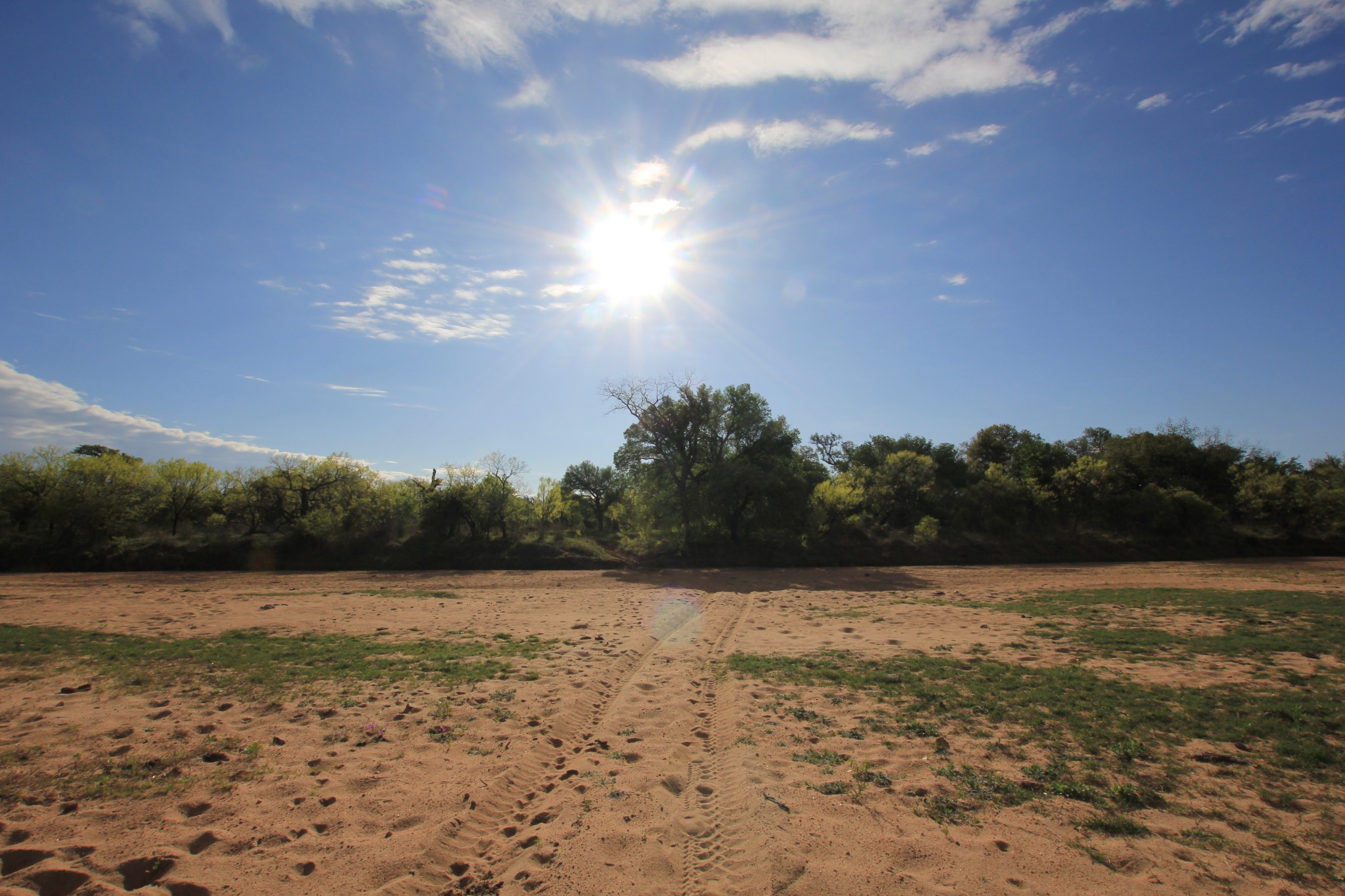 2976 Lower Willow Creek Road Mason, TX 76856 - Photo 21 of 27 Expansive land parcel featuring natural sandy terrain and scattered green grass patches