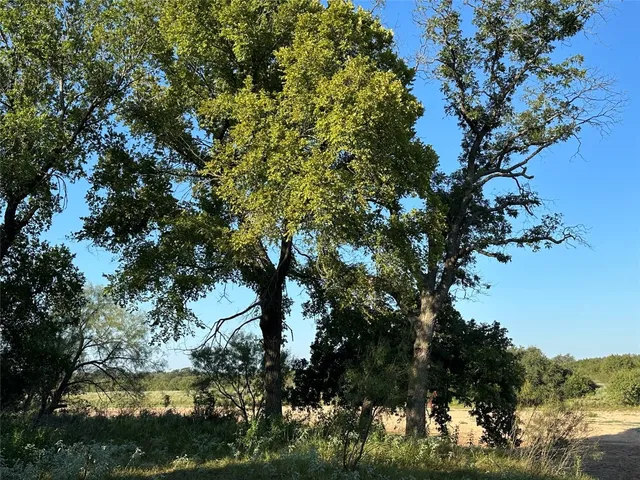 $3,568,000 | 2976 Lower Willow Creek Road, Mason, TX 76856