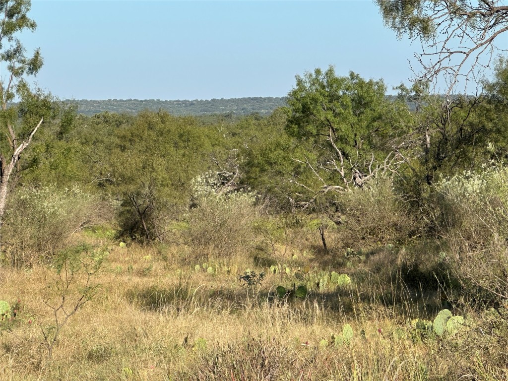 2976 Lower Willow Creek Road Mason, TX 76856 - Photo 22 of 22