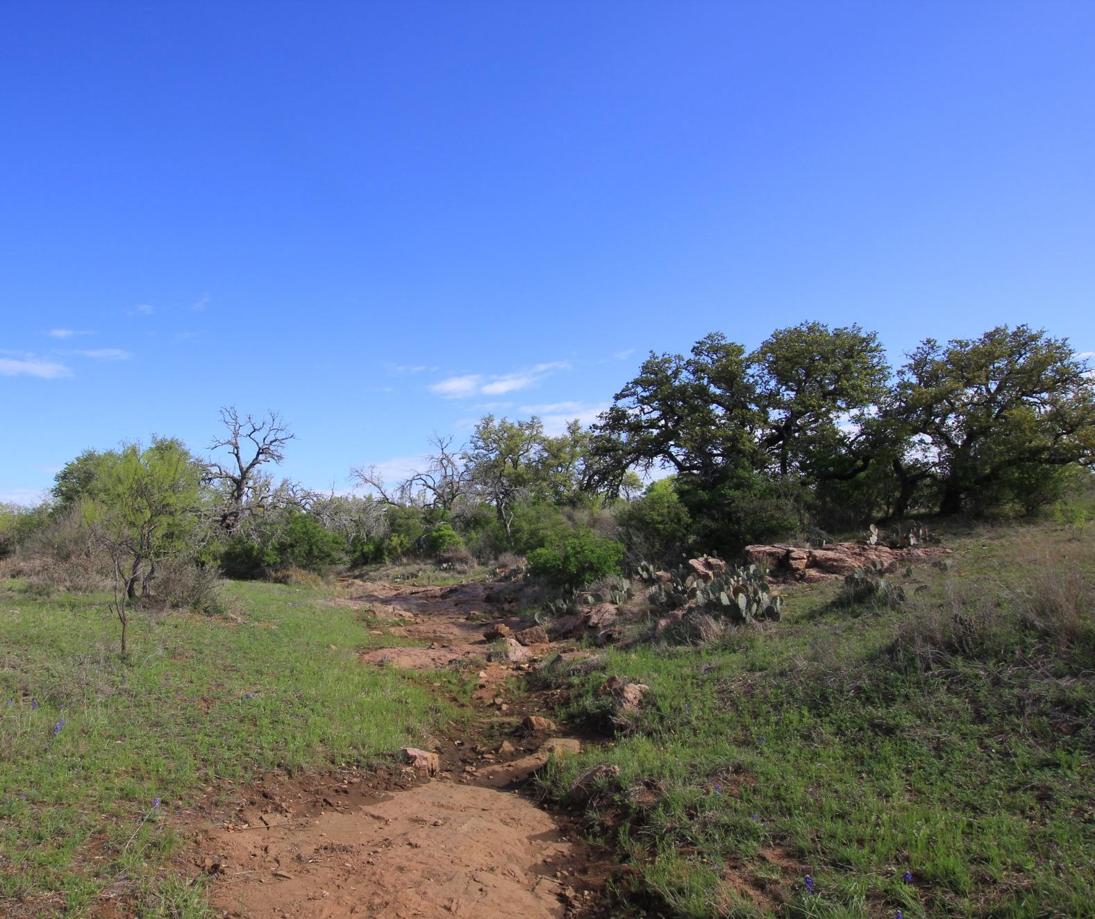 2976 Lower Willow Creek Road Mason, TX 76856 - Photo 25 of 27 Expansive natural landscape with varied terrain