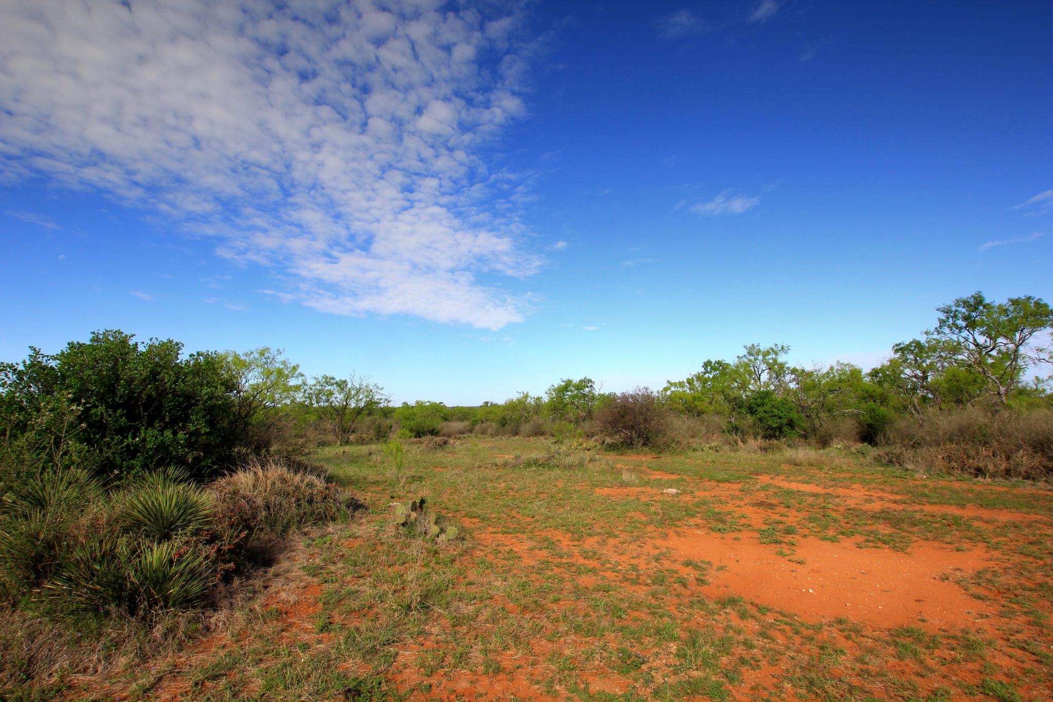 2976 Lower Willow Creek Road Mason, TX 76856 - Photo 3 of 27 Expansive open land featuring natural red earth and sporadic green vegetation