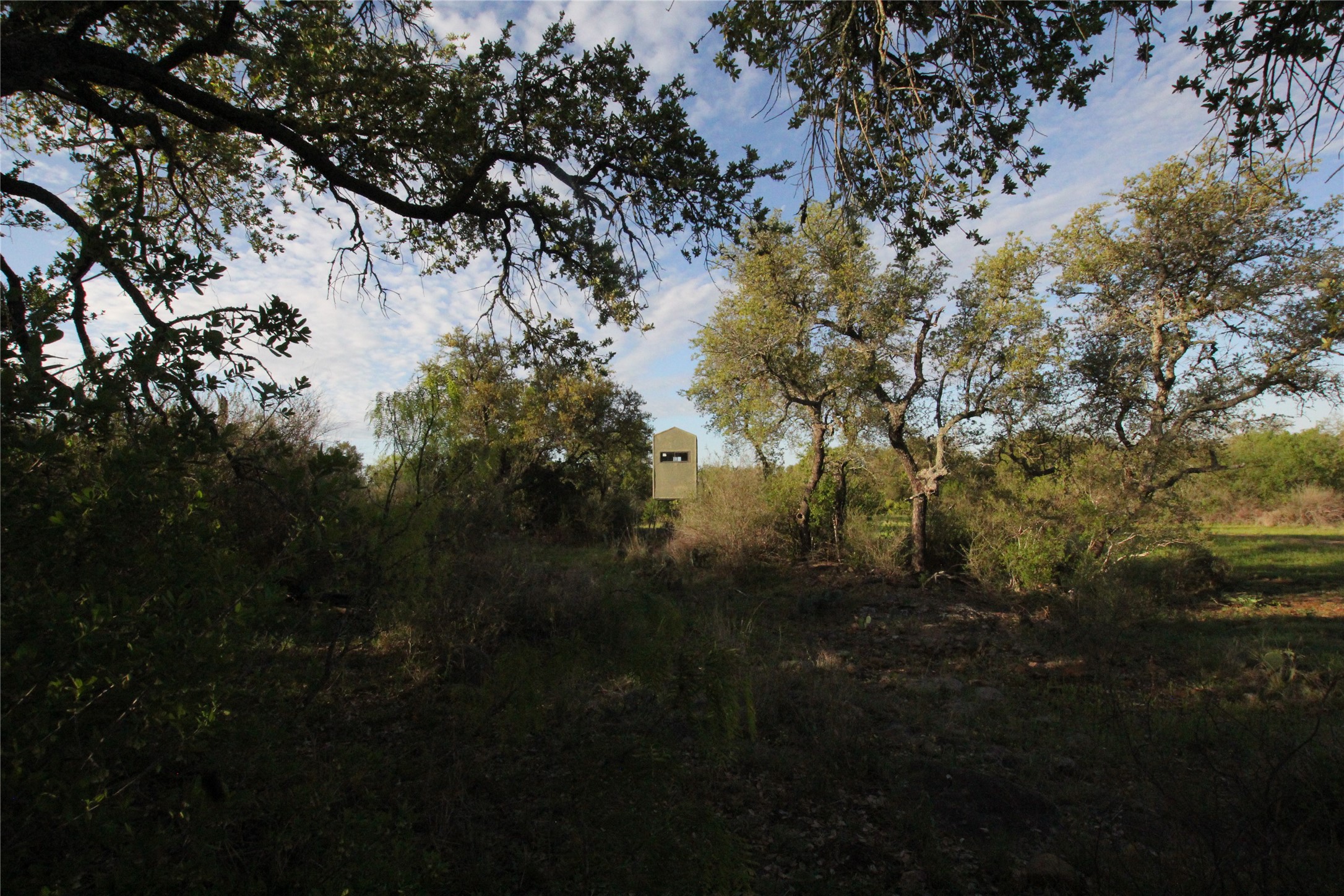 2976 Lower Willow Creek Road Mason, TX 76856 - Photo 5 of 27 Image quality insufficient for description