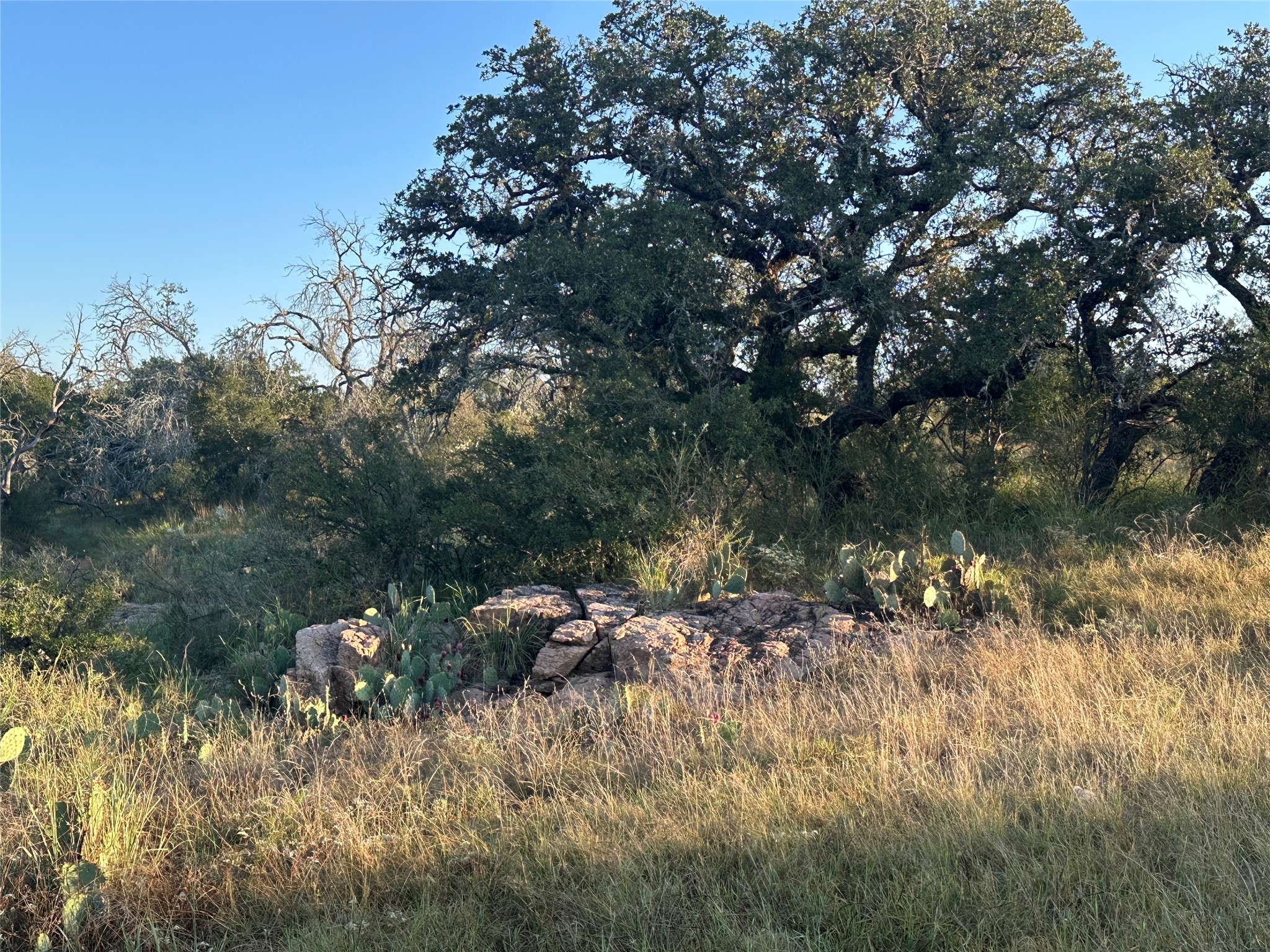 2976 Lower Willow Creek Road Mason, TX 76856 - Photo 6 of 27