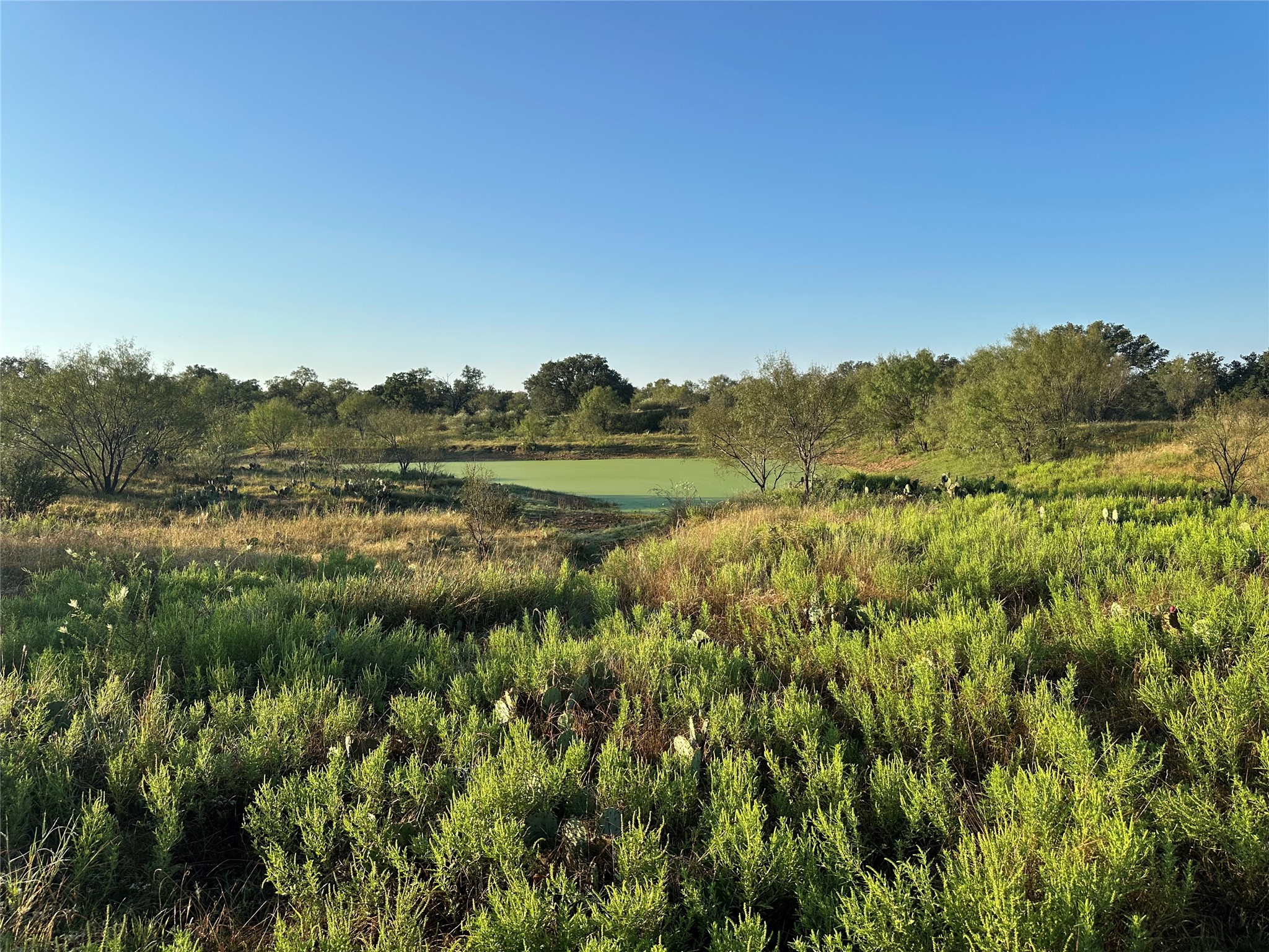 2976 Lower Willow Creek Road Mason, TX 76856 - Photo 9 of 27