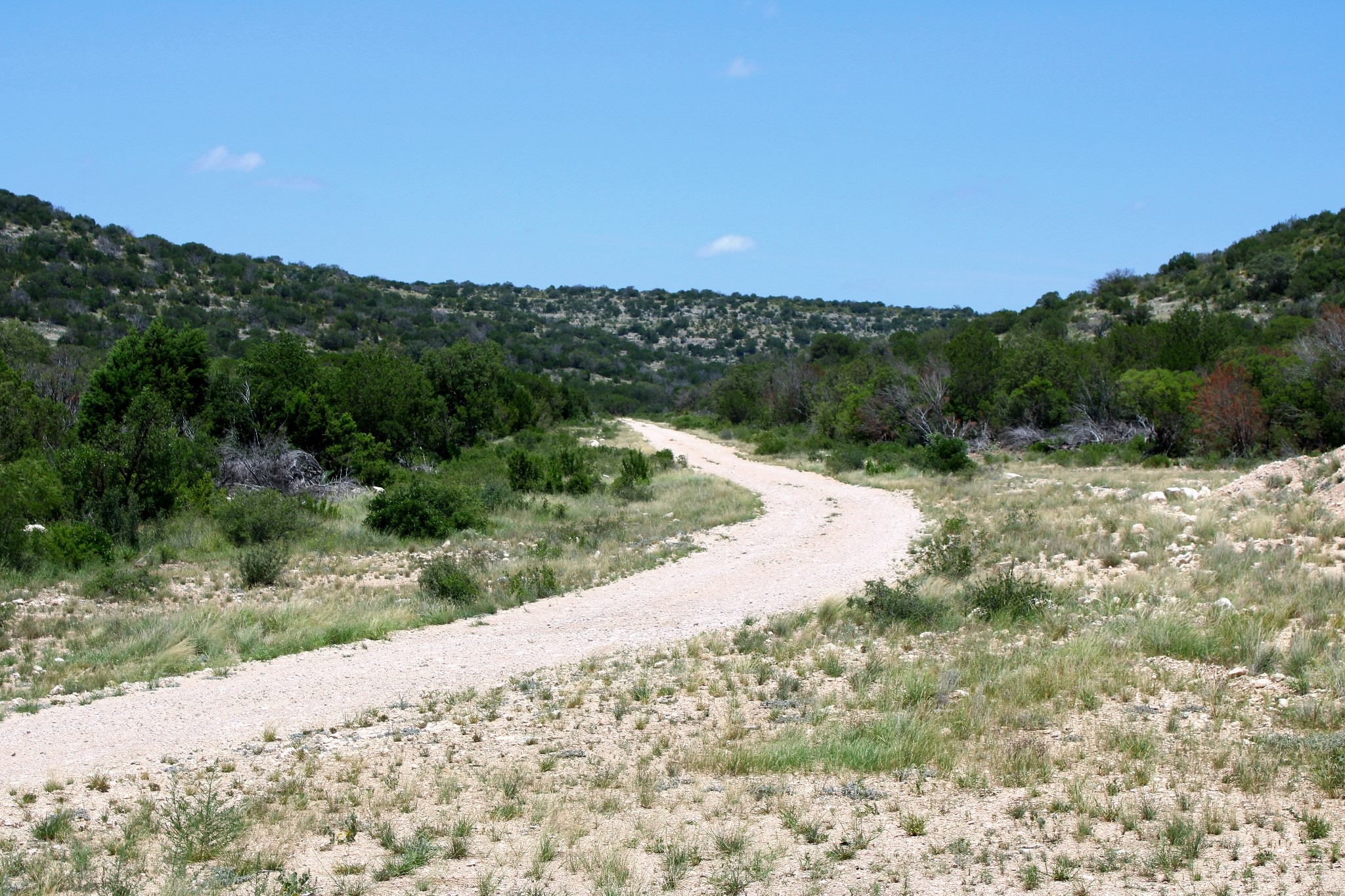 2519 Widmark Road Comstock, TX 78837 - Photo 43 of 48