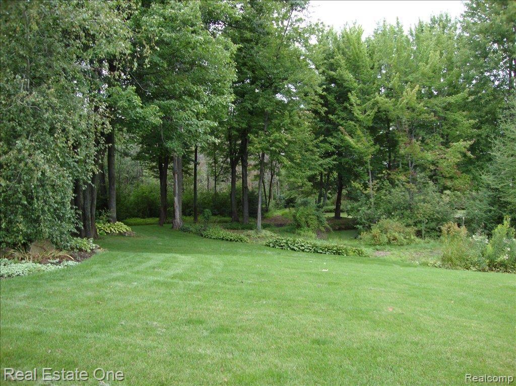 4107 Morgan Road Lake Orion, MI 48359 - Photo 10 of 23 yard 1
