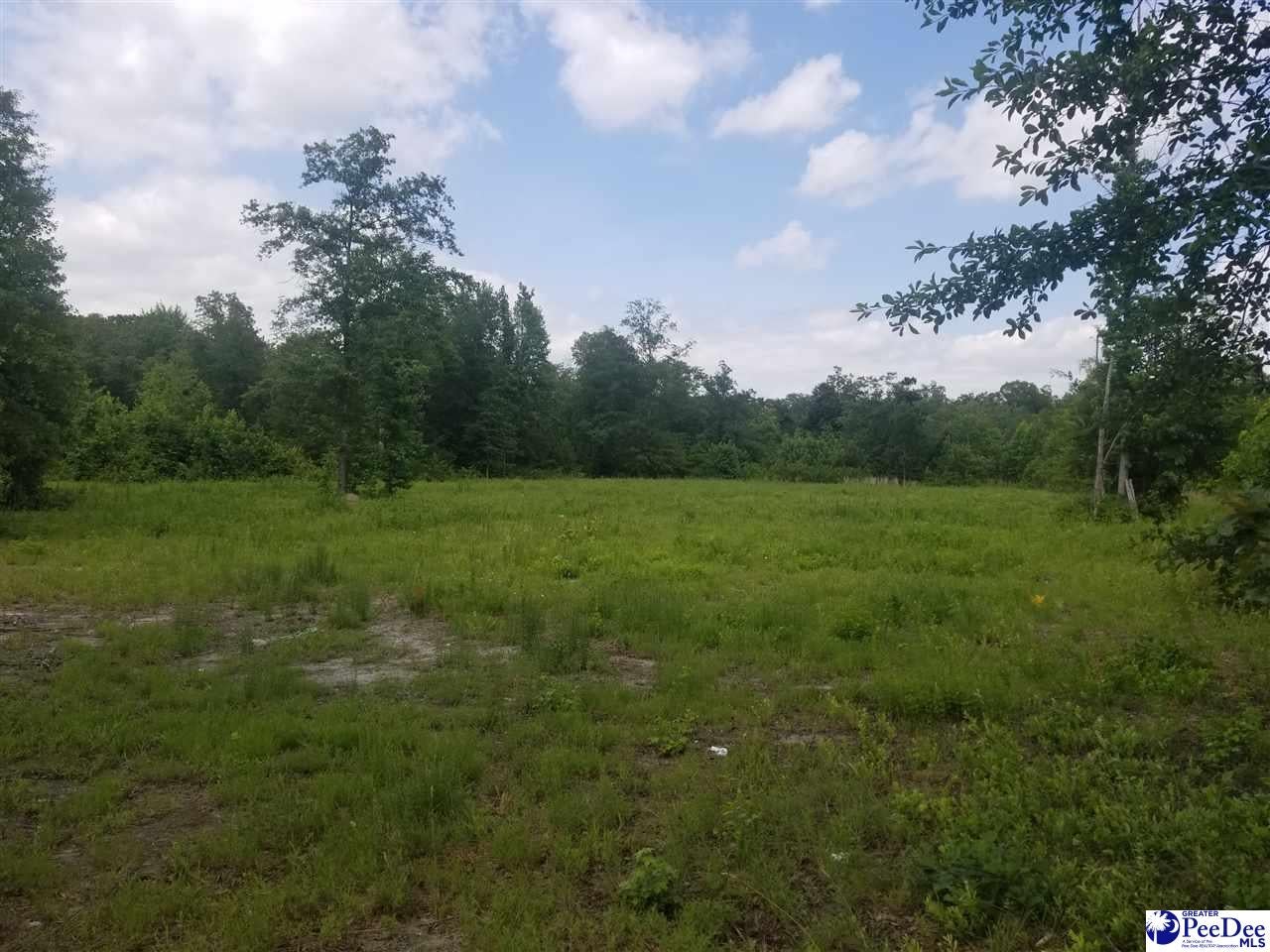 Swift Creek Road Hartsville, SC 29550 - Photo 1 of 1 Gallery Image 1