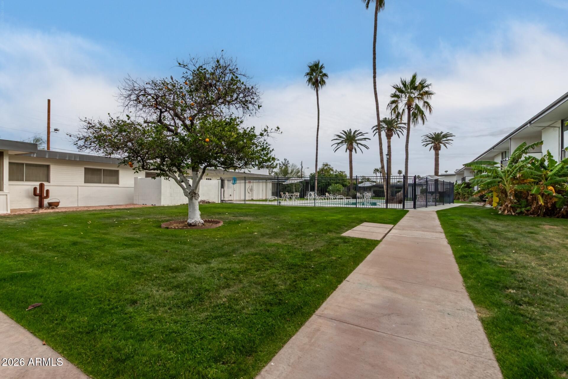 3270 East Camelback Road, Unit 213 Phoenix, AZ 85018 - Photo 31 of 41 a front view of a house with a garden and yard