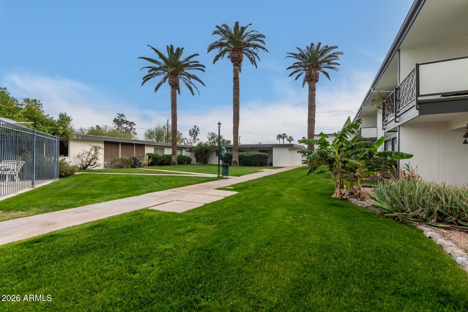 3270 East Camelback Road, Unit 213 Phoenix, AZ 85018 - Photo 36 of 41 a view of a palm trees in front of a house