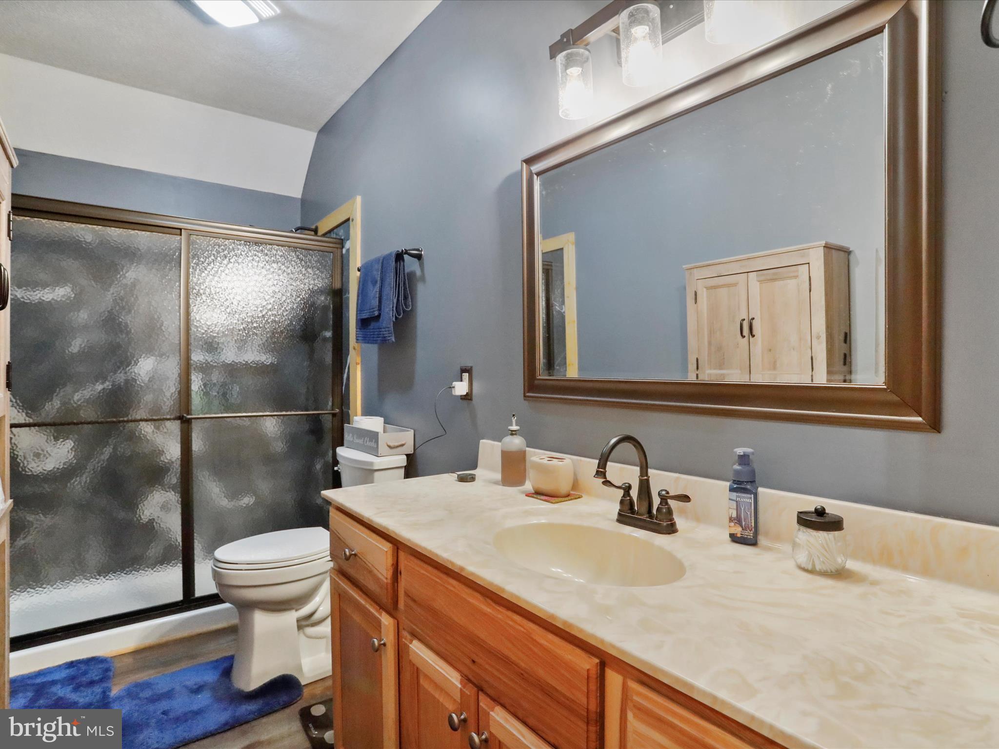 480 High Mountain Road Romney, WV 26757 - Photo 11 of 46 a bathroom with a sink a toilet and shower
