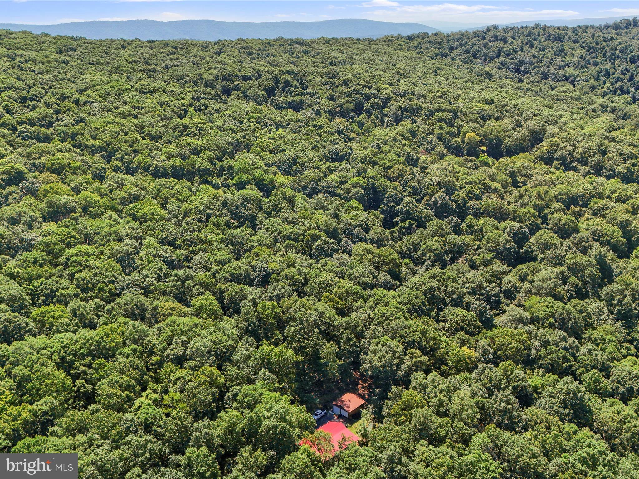 480 High Mountain Road Romney, WV 26757 - Photo 39 of 46