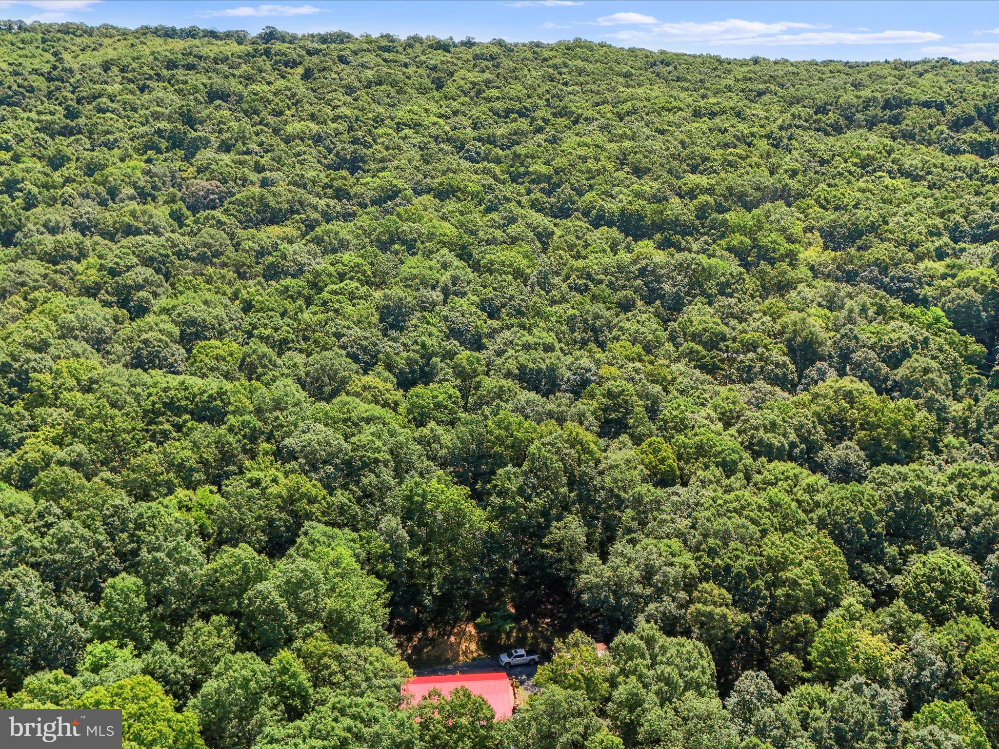 480 High Mountain Road Romney, WV 26757 - Photo 40 of 46 a view of a garden
