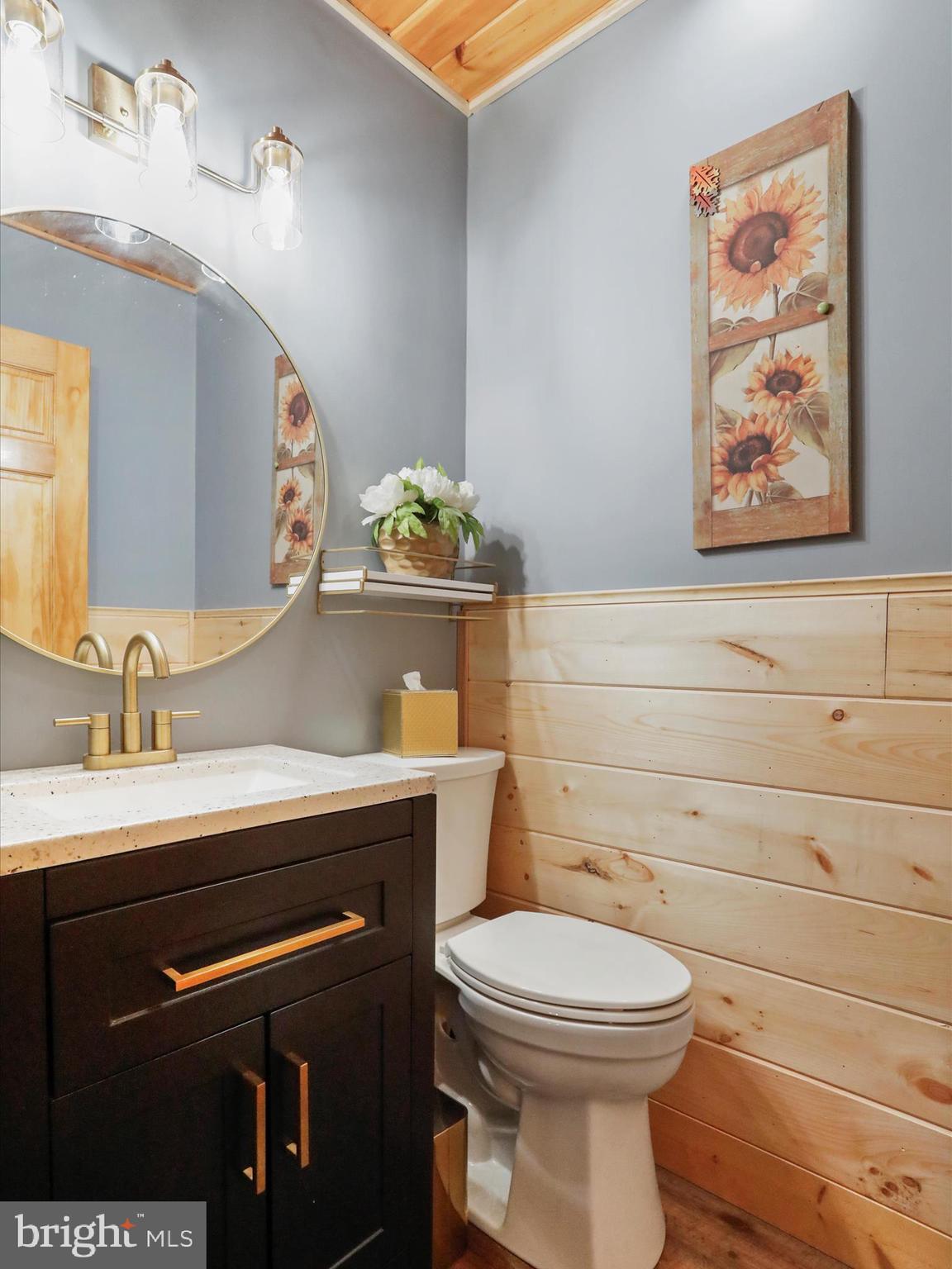 480 High Mountain Road Romney, WV 26757 - Photo 5 of 46 a bathroom with a toilet a sink and mirror